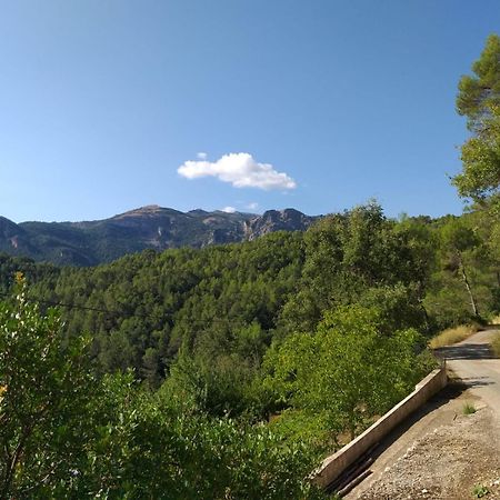 Casas Rurales La Tobica Yeste Bagian luar foto