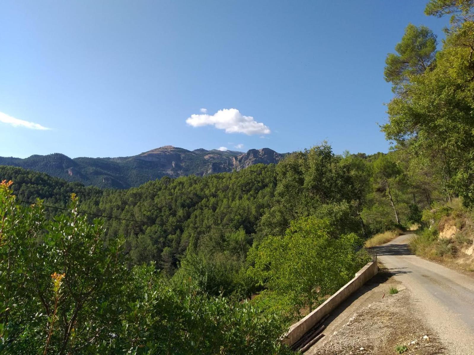 Casas Rurales La Tobica Yeste Bagian luar foto
